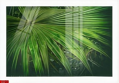 File in lụa File tranh gốc in tranh tường nền tổng hợp H11133 (tân cổ điển) File tranh gốc in tranh tường nền tổng hợp H11133