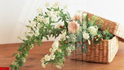 File PSD File tranh gốc in tranh tường nền tổng hợp H11168 (gốc) cho designer