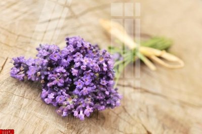 File ảnh File tranh gốc in tranh tường nền tổng hợp H11178 (gốc) in poster