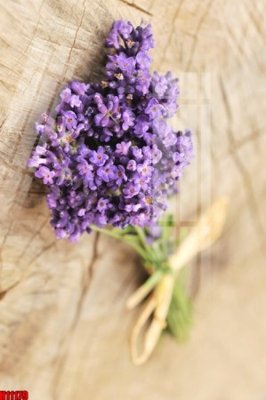 File gốc File tranh gốc in tranh tường nền tổng hợp H11179 (trang trí) phòng ngủ