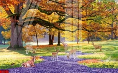 Chi tiết file tranh tráng gương File tranh gốc in tranh tường nền tổng hợp H11195 (ảnh gốc)