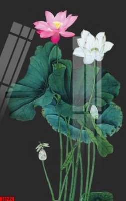 File tranh File tranh gốc in tranh tường nền tổng hợp H11224 (bản gốc) in lụa dán tường