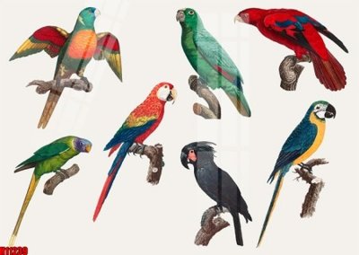 File tranh trang trí File tranh gốc in tranh tường nền tổng hợp H11239 (tải file gốc)