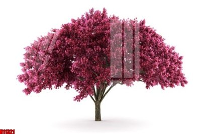 File gốc in ấn File tranh gốc in tranh tường nền tổng hợp H11321 (sẵn sàng tải về)