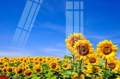 File tranh in mica File tranh gốc in tranh tường nền tổng hợp H11347 (độ phân giải cao)