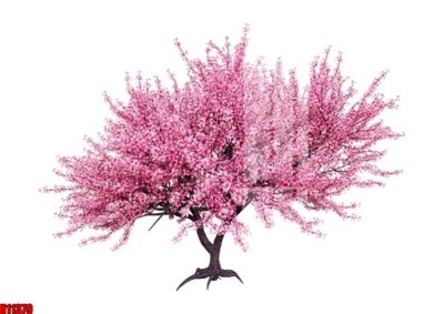 File tranh ảnh gốc File tranh gốc in tranh tường nền tổng hợp H11379 dùng cho in khổ lớn