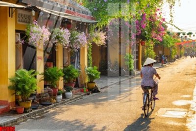 File gốc File tranh gốc in tranh tường nền tổng hợp H11382 (in lụa) tranh thuận buồm