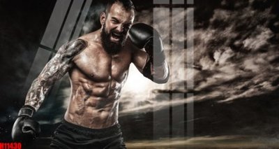 File in mica File tranh gốc in tranh tường nền tổng hợp H11430 (bản gốc) làm vách ngăn