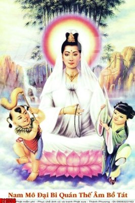 File in mica File tranh gốc in tranh tường nền tổng hợp H11556 (ảnh gốc) đẹp