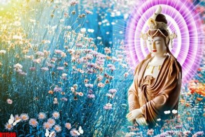 File ảnh File tranh gốc in tranh tường nền tổng hợp H11586 (gốc) in decal dán tường