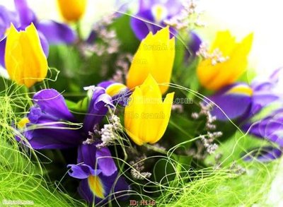 File tranh in trần 3D file tranh hoa H116 (ảnh gốc)