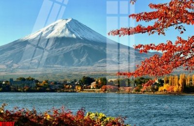 Tải file File tranh gốc in tranh tường nền tổng hợp H11867 (gốc) làm file in ấn