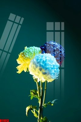 File ảnh File tranh gốc in tranh tường nền tổng hợp H11913 (gốc) cho trang trí nhà hàng