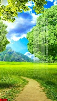 Tải file tranh File tranh gốc in tranh tường nền tổng hợp H12101 (ảnh gốc) ngay