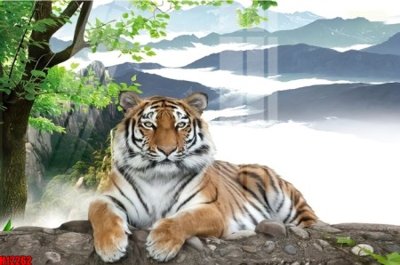 File tranh File tranh gốc in tranh tường nền tổng hợp H12262 (gốc) in film