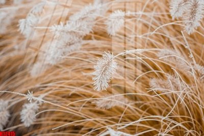 Tải file gốc File tranh gốc in tranh tường nền tổng hợp H12415 (in bạt) quảng cáo