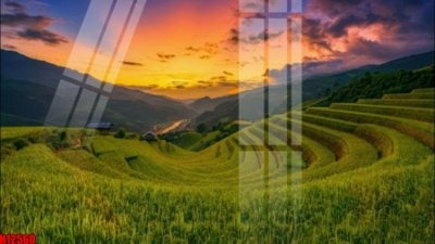 File gốc File tranh gốc in tranh tường nền tổng hợp H12560 (in lụa) trang trí tường