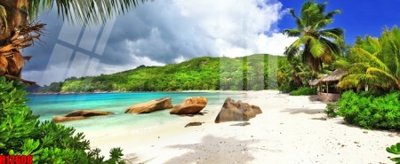 Tải file File tranh gốc in tranh tường nền tổng hợp H12608 (gốc) chủ đề hoa sen