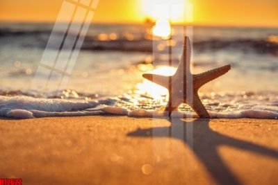 File in lụa File tranh gốc in tranh tường nền tổng hợp H12622 (phong cảnh) File tranh gốc in tranh tường nền tổng hợp H12622