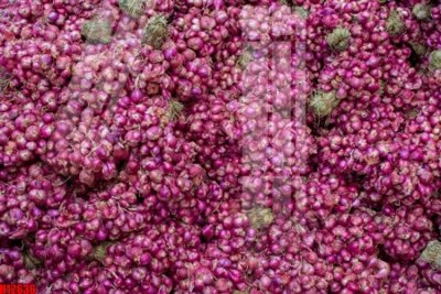 File tranh File tranh gốc in tranh tường nền tổng hợp H12636 (gốc) chủ đề con người