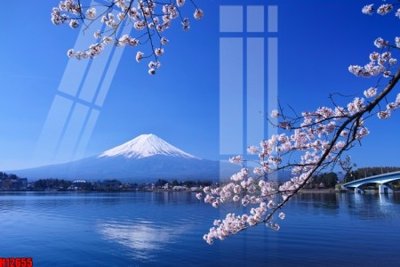 Tải file File tranh gốc in tranh tường nền tổng hợp H12655 (ảnh gốc) file TIFF