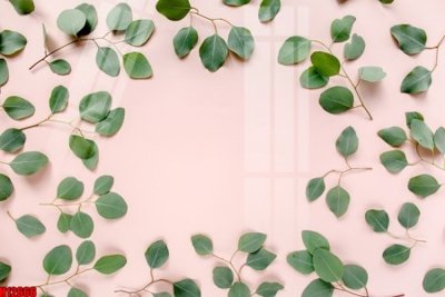 File gốc File tranh gốc in tranh tường nền tổng hợp H12666 (in tráng gương) sang trọng