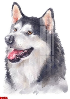 File gốc in mica File tranh gốc in tranh tường nền tổng hợp H12674 chất lượng