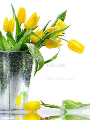 File gốc file tranh hoa H127 (in mica) cắt laser