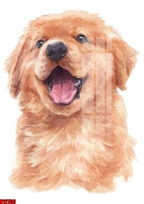 File gốc File tranh gốc in tranh tường nền tổng hợp H12703 (PNG) không nền chất lượng