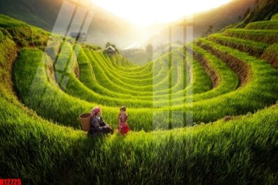 File tranh gốc File tranh gốc in tranh tường nền tổng hợp H12725 (bản quyền) Filetranh.com