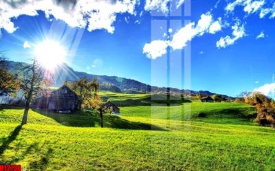 File PSD File tranh gốc in tranh tường nền tổng hợp H12738 (bản gốc) dễ dàng edit