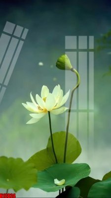 File tranh File tranh gốc in tranh tường nền tổng hợp H12824 (gốc) chủ đề con người