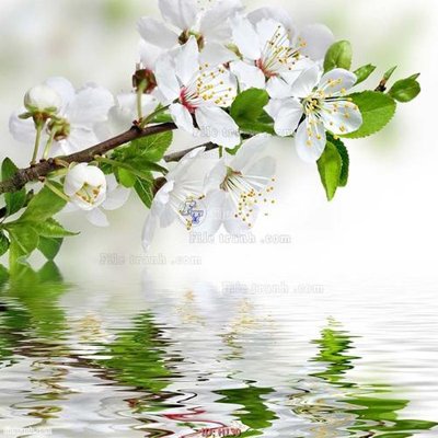 File gốc file tranh hoa H130 (phiên bản chuẩn) để in ấn