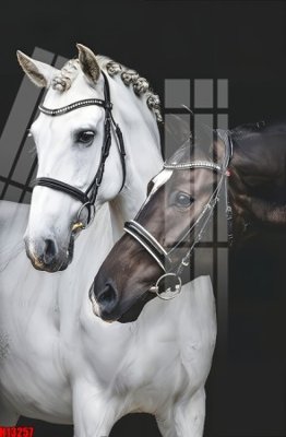 File in ấn File tranh gốc in tranh tường nền tổng hợp H13257 chuyên nghiệp