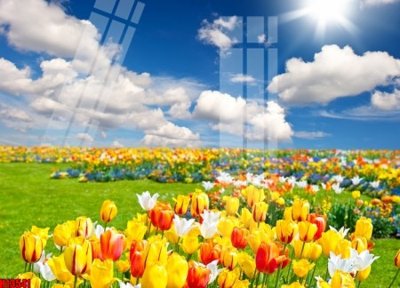 File PSD File tranh gốc in tranh tường nền tổng hợp H13541 (nguyên bản) cho thiết kế