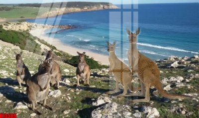 File gốc File tranh gốc in tranh tường nền tổng hợp H13589 (trang trí) phòng làm việc