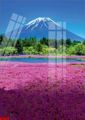 File gốc File tranh gốc in tranh tường nền tổng hợp H13613 (in tráng gương) ốp tường