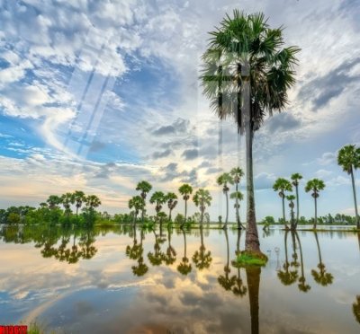 File gốc File tranh gốc in tranh tường nền tổng hợp H13677 (AI/EPS) cho in ấn