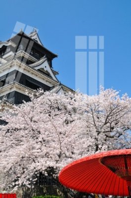 File ảnh File tranh gốc in tranh tường nền tổng hợp H13869 (gốc) trang trí khách sạn