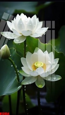 Tải file File tranh gốc in tranh tường nền tổng hợp H13954 (gốc) chủ đề phong thủy