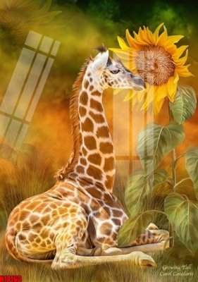 Tải file PSD File tranh gốc in tranh tường nền tổng hợp H14163 (nguyên layer) để in