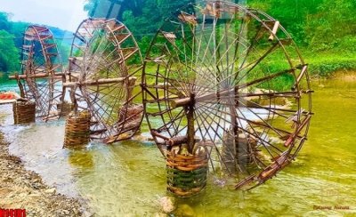 File tranh File tranh gốc in tranh tường nền tổng hợp H14181 (gốc) chủ đề tĩnh vật