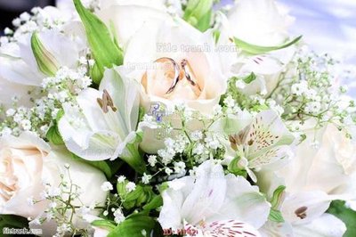 File gốc file tranh hoa H142 cho in ấn và thiết kế