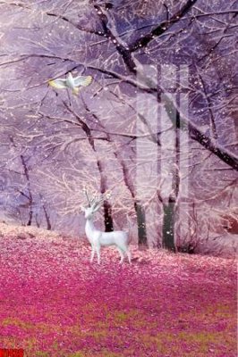 File gốc in ấn File tranh decor tranh bộ treo tường tổng hợp H1426 chất lượng vượt trội