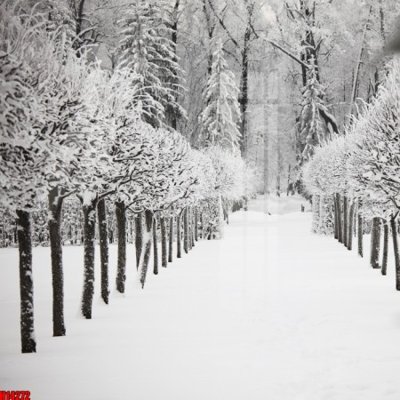 Tải file gốc File tranh gốc in tranh tường nền tổng hợp H14272 (in tráng gương) cao cấpFile gốc File tranh gốc in tranh tường nền tổng hợp H14272 (in ấn) phiên bản độc quyền