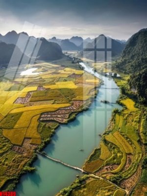 Download file gốc File tranh gốc in tranh tường nền tổng hợp H14389 (in lụa) nghệ thuật