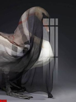 Cung cấp file tranh gốc File tranh decor tranh bộ treo tường tổng hợp H1444 độc quyền