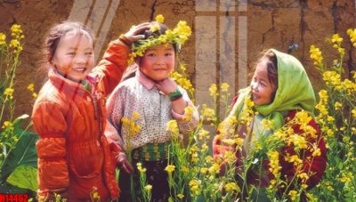 File gốc File tranh gốc in tranh tường nền tổng hợp H14462 (trang trí) phòng trẻ em