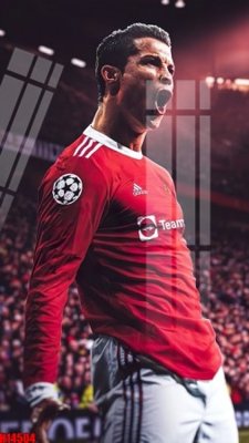 Tải file File tranh gốc in tranh tường nền tổng hợp H14504 (ảnh gốc) file AI/EPS