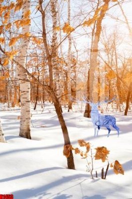 File in ấn File tranh decor tranh bộ treo tường tổng hợp H1453 chuyên nghiệp